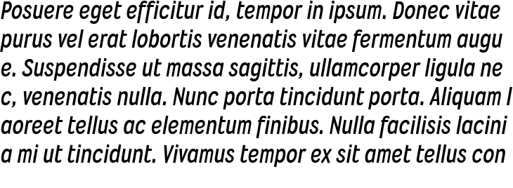 `Wyvern Rg Bold Italic` Preview