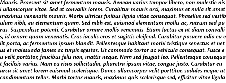 `Cronos Pro Caption SemiBold Italic` Preview