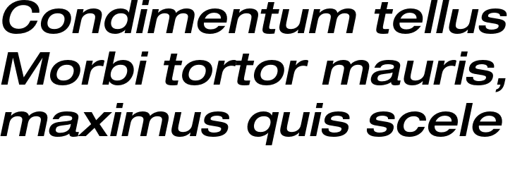 `Helvetica Neue LT Std 63 Medium Extended Oblique` Preview