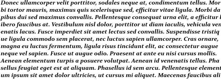 `Constantia Bold Italic` Preview