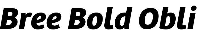 `Bree Bold Oblique` Preview