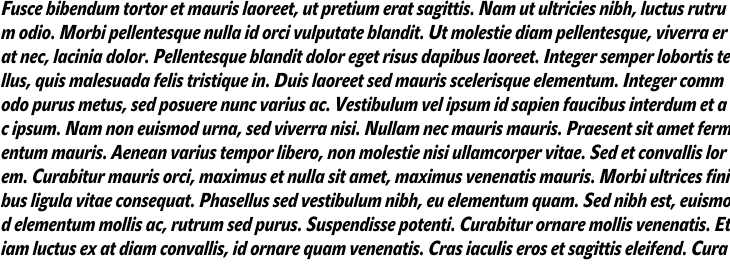 `John Sans Condensed Bold Italic` Preview