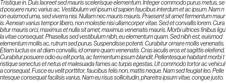 `Neue Haas Grotesk Display Pro Light Italic` Preview
