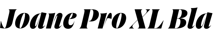 `Joane Pro XL Black Italic` Preview