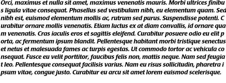 `Poppl-Laudatio BQ Medium Italic` Preview