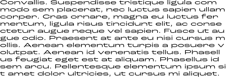 `Roc Grotesk Extra Wide Regular` Preview