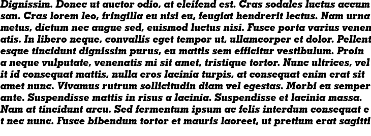`Geometric Slabserif 703 ExtraBold Italic` Preview