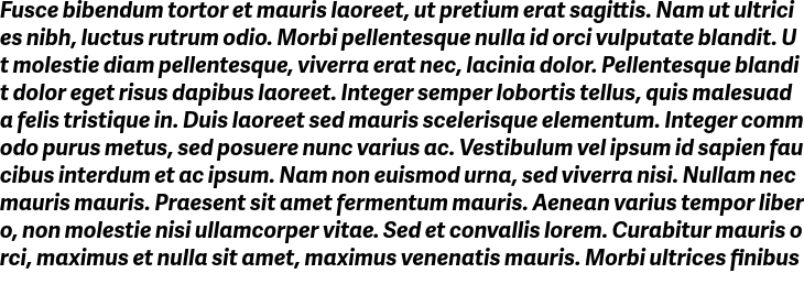 `Adelle Sans Bold Italic` Preview