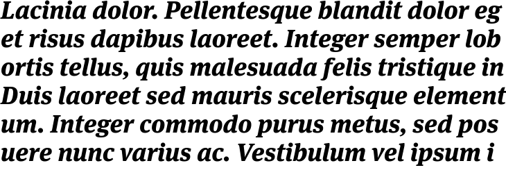 `Meta Serif Pro Extra Bold Italic` Preview