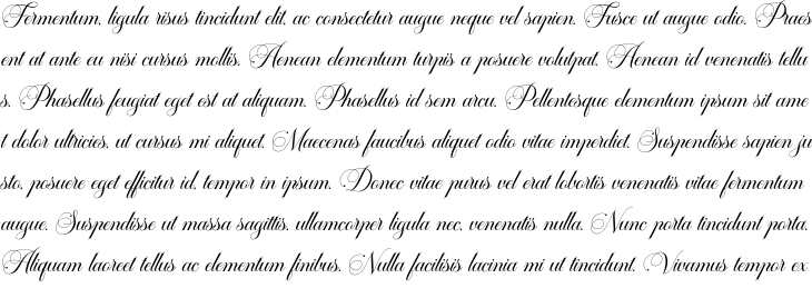 `Garinstae Script Italic` Preview