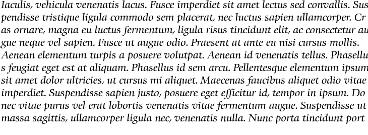 `Comenius Antiqua Italic` Preview