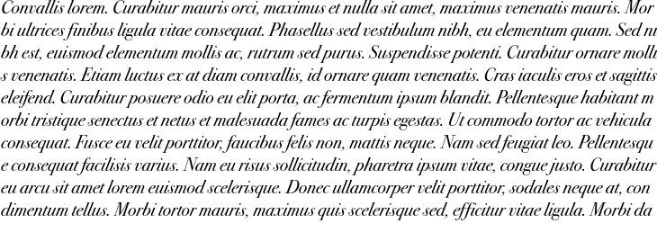 `ITC Bodoni Seventy Two Book Italic` Preview