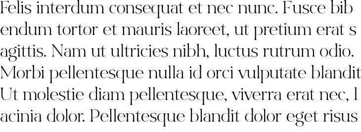 `Bon Vivant Serif Regular` Preview
