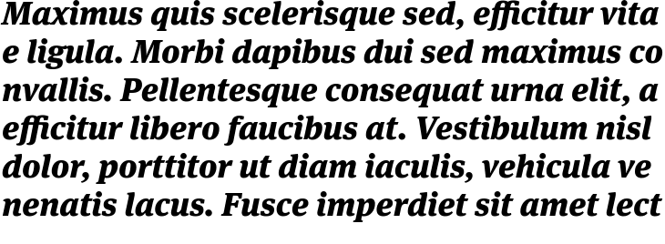 `Meta Serif Pro Black Italic` Preview