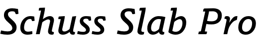 `Schuss Slab Pro Medium Italic` Preview