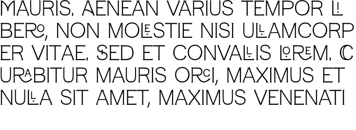 `Dinamis Monogram Regular` Preview