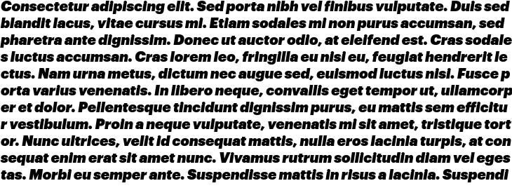 `Graphik Italic` Preview
