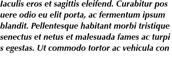`Zapf Humanist 601 BT Bold Italic` Preview