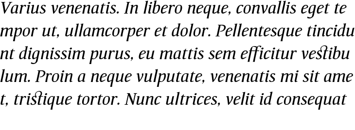 `Kundera Italic` Preview