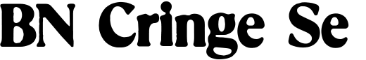 `BN Cringe Serif Bold` Preview