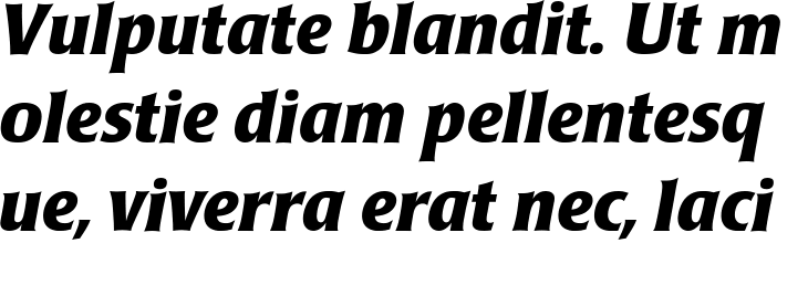 `Poppl-Laudatio BQ Bold Italic` Preview