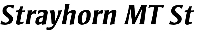 `Strayhorn MT Std Bold Italic` Preview