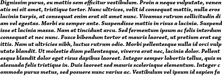`Chaparral Pro Bold Italic` Preview