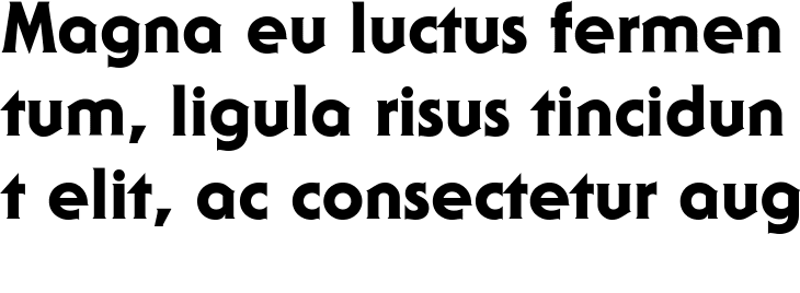 `ITC Serif Gothic Heavy` Preview