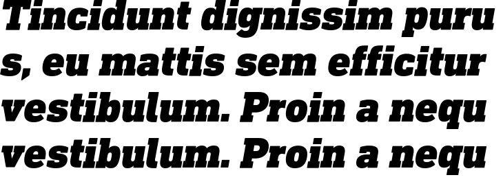 `DIN Next Slab Pro Black Italic` Preview