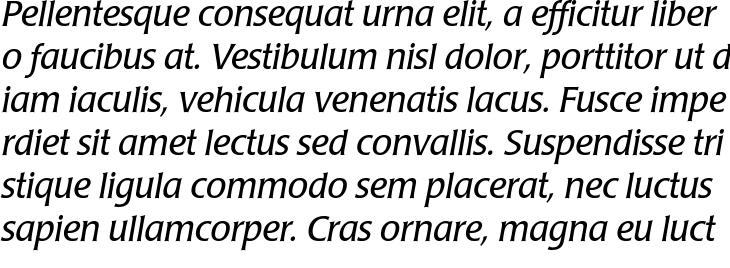 `Poppl-Laudatio BQ Italic` Preview