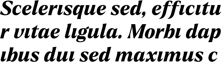 `Larken DEMO Extra Bold Italic` Preview