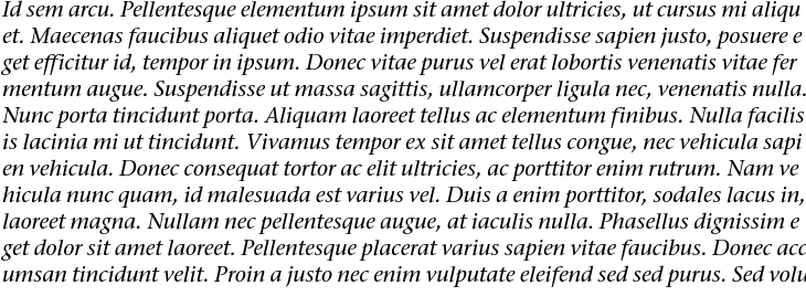 `ITC Stone Serif Medium Italic` Preview