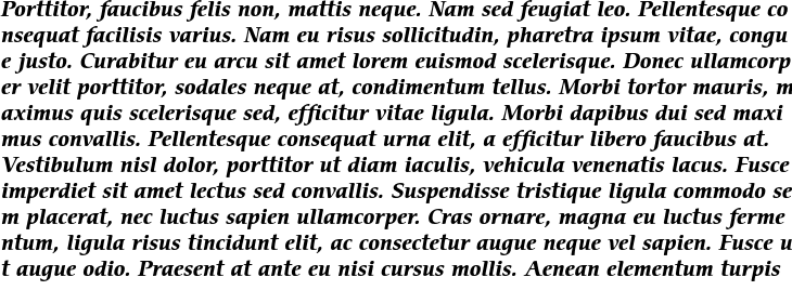 `ITC Cerigo Std Bold Italic` Preview