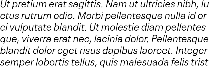 `Neue Plak Text Light Italic` Preview