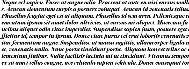 `PP Editorial Old Ultra Bold Italic` Preview