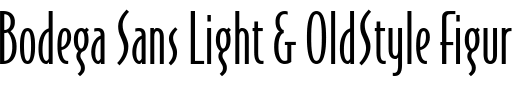 `Bodega Sans Light & OldStyle Figures` Preview