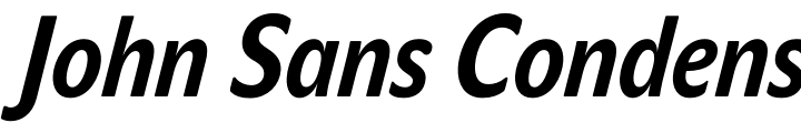 `John Sans Condensed Semi Bold italic` Preview