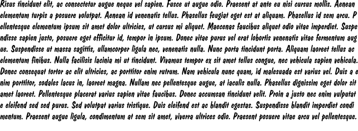 `Dom Casual D Italic` Preview