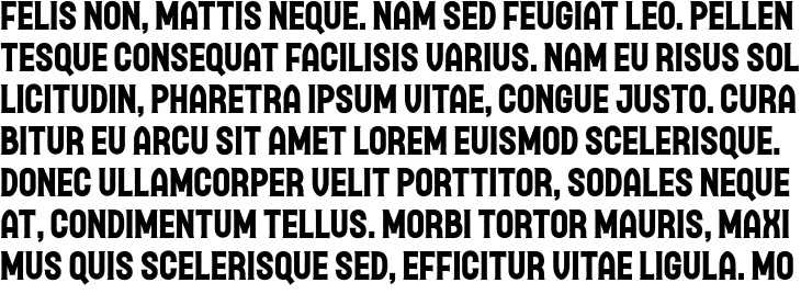 `Brampton Serif Organic Regular` Preview