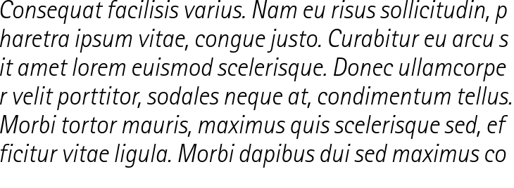 `Rotis Sans Serif Pro 46 Light Italic` Preview