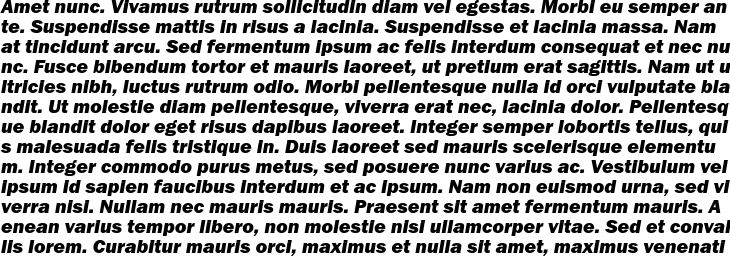 `Franklin Gothic Heavy Italic` Preview