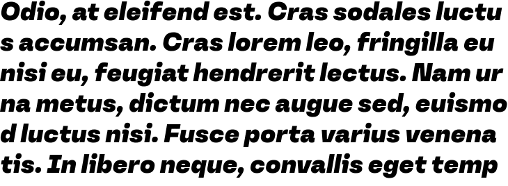 `Versos Test Black Italic` Preview