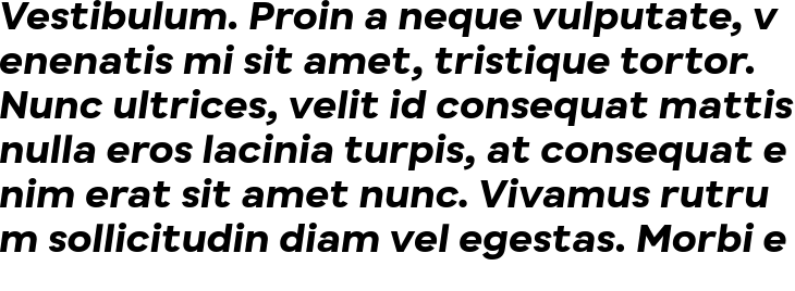`Busup Sans Bold Italic` Preview