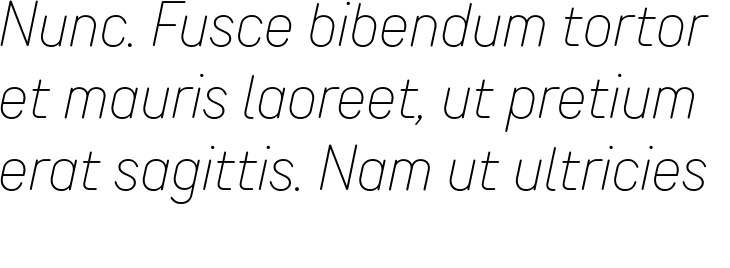 `TT Rounds Neue Thin Italic` Preview