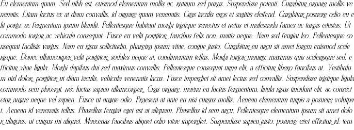 `Amelayona Italic` Preview
