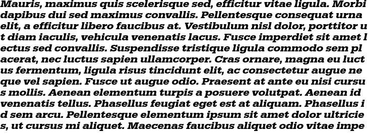 `URW Egyptienne ExtraWide Bold Oblique` Preview
