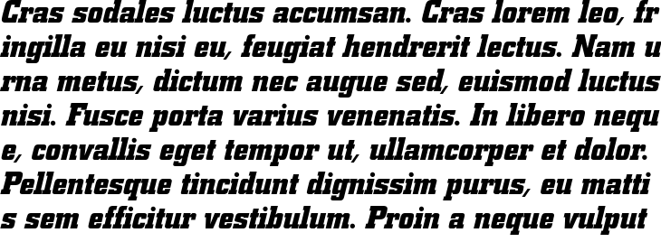 `Berthold City Bold Italic` Preview