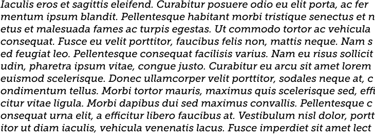 `Museo Slab 500 Italic` Preview