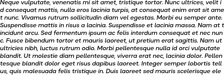`Okta Neue Medium Italic` Preview