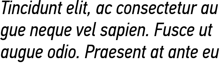 `PF Din Text Pro Condensed Italic` Preview